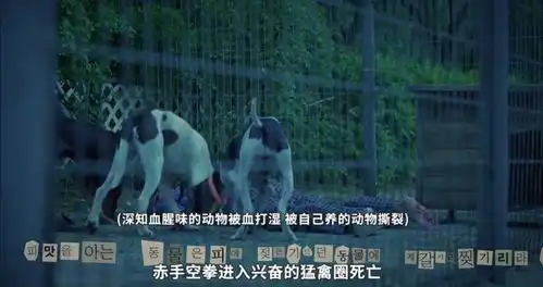 一集弃tvn新韩剧昼与夜差评不断,有南宫珉也扛不起收视
