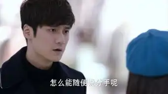 寻找爱的冒险第32集剧照,寻找爱的冒险图片
