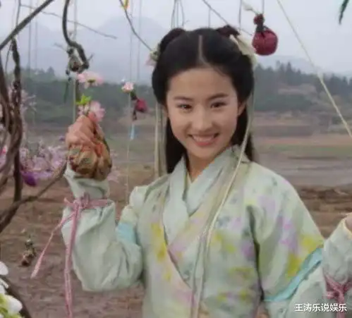 长相影响戏路的4位明星,图3演不了穷人,图4长了张老板脸