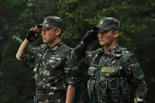 我是特种兵2五大看点让人回味
