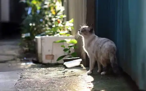 没有比遇见你更幸运的事了征集发布