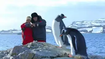 这两口子的环球旅行吊炸天
