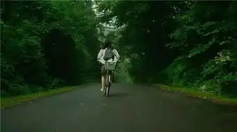 小森林找种状态躲起来
