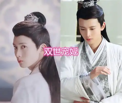 陈宥维出演过的作品,双世宠妃很受欢迎,最后一个却被狠批
