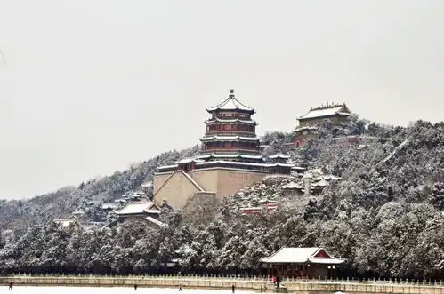 感动到流泪北京终于下雪了大大大大大
