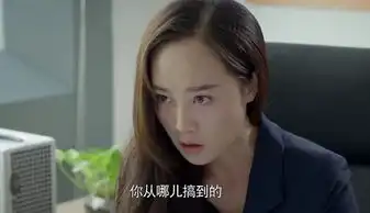 虎妈猫爸黄俐剧照