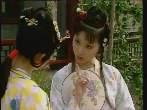 叶康翡翠的87版红楼梦人物造型及服饰艺术品鉴黛玉篇上
