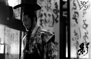 疑惑丨影会是张艺谋的翻身仗吗