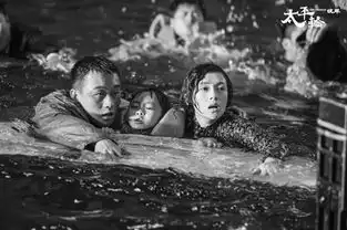 太平轮惊涛骇浪中力挽狂澜
