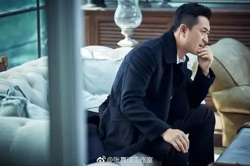 可怕张嘉译包揽黄金档收视前四你对不油腻的中年男人一无所知