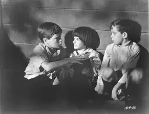 走进是哈珀李的童话,被误解的杀死一只反舌鸟
