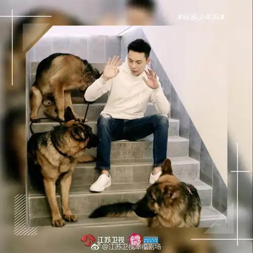 南方有乔木看陈伟霆和李现如何展现用实力争夺女人的技能
