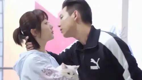 亲爱的热爱的杨紫胡一天被撮合相亲,韩商言打翻醋坛,心碎一地