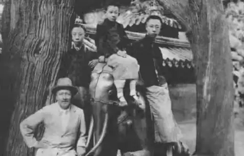 末代皇帝溥仪的悲惨童年从小身体虚弱,饿得吃喂鱼的馒头
