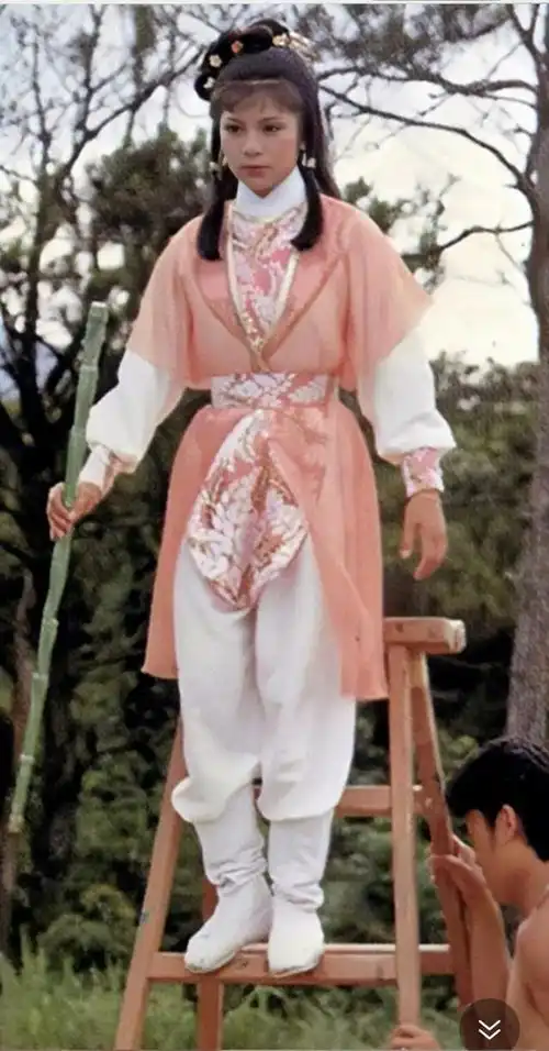 射雕英雄传中翁美玲剧照
