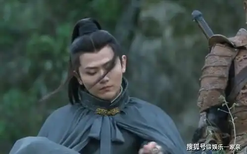 雪中悍刀行赵楷离阳城外自尽,徐凤年两袖青蛇,韩貂寺人头落地
