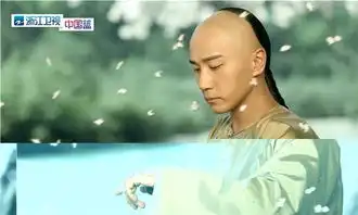 寂寞空庭春欲晚浙卫首播收视飘红刘恺威后悔没上王牌