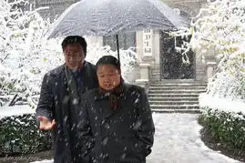 电视剧金婚风雨情精美剧照4