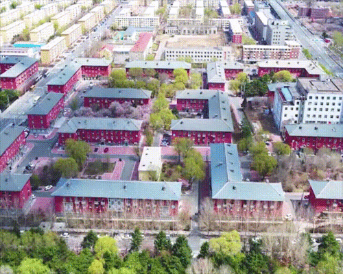 走进漂亮街区丨长春红房子唤醒时光
