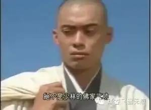 肥罗细评金庸武侠小说人物之虚竹