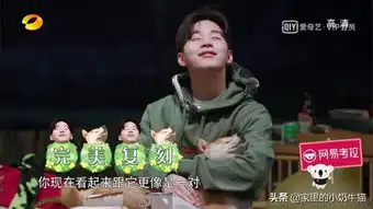 走路要慢生活节奏要慢综艺也要慢
