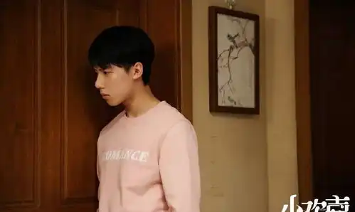 小欢喜变小悲伤,童文洁生二胎背后,是中年人的无奈
