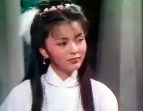 李若彤刘亦菲潘迎紫,谁是你心中最美小龙女
