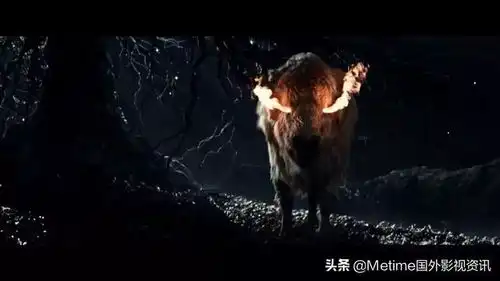 starz电视台出品比斯巴达克斯还要奔放你猜是哪一部
