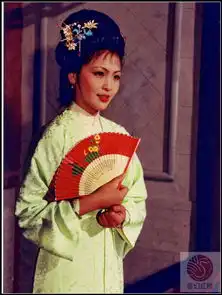 87版红楼梦电视剧贾迎春精彩剧照赏析
