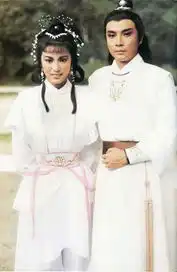 新萍踪侠影演员出炉董洁潘粤明婚后首合作