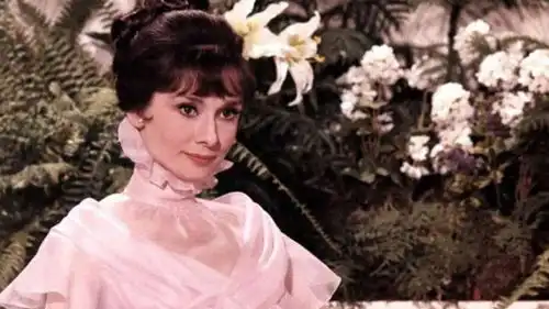 大众女神赫本也会遇到婚姻问题,丈夫传出出轨传闻,两人最终离婚