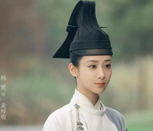 网传青簪行将重拍刘学义出演男主呼声高,杨紫将恢复番位
