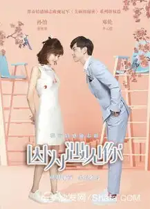 因为遇到你刘敏涛领衔新演员飚戏
