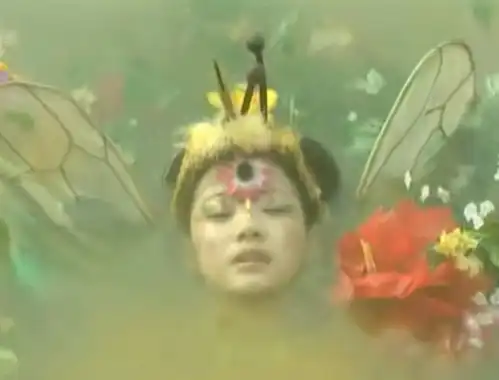 变成蜜蜂的小男孩,1999年的电视剧蜜里逃生
