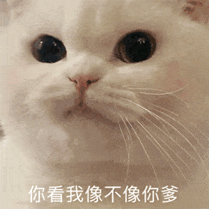 超实用怼人表情包丨呵呵,真是令人发笑呢
