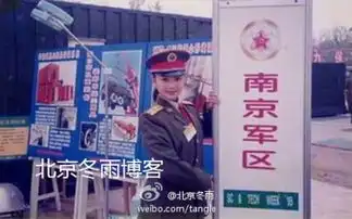 花儿与少年第二季不老许晴再加盟陈意涵郑爽抢眼
