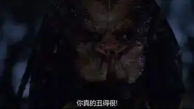 阿诺州长大战铁血战士,掠夺者系列开山之作