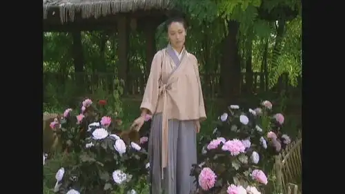大明宫词韦氏的精明和坚韧,最后都输给了对权力的欲望

