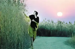 华谊兄弟公布最新h计划冯小刚再拍手机2图