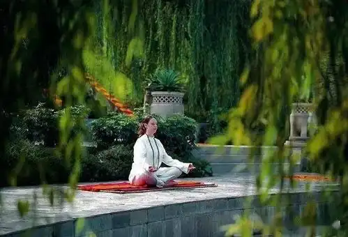 度假or养生印度喜马拉雅山阿南达度假村