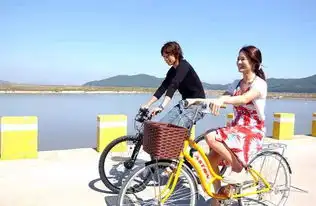 浪漫满屋高清剧照,宋慧乔郑智薰合照