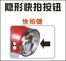 绝无仅有蓝色妖姬获奖力作火凤凰目前仅158元
