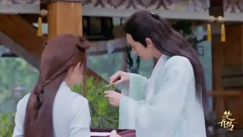 楚乔传就是要气傻锦烛你这俩二货,月七此时拿来了一个盒子给公子