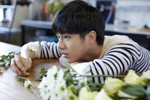 刘昊然八字命理分析,2018事业感情双丰收
