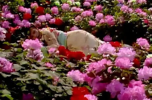 六版湘云醉卧,有人醉卧,有人假寐,还有人像产后护理
