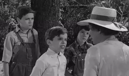 杀死一只知更鸟何以成为现代美国文学的经典
