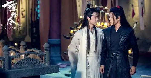 杨夏又有新作,阵容不输陈情令,肖战或将再主演双男主戏
