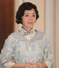 刘晓庆装嫩2012年度盘点新人上位记
