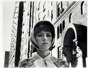 2015年在世美国艺术家拍卖排名top10
