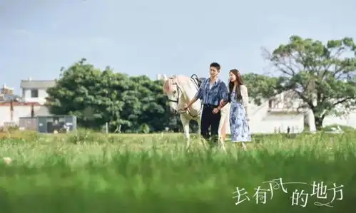 表演生涯首部现代剧,刘亦菲为什么选它